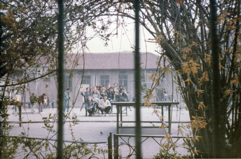 in curte, de la cici.jpg